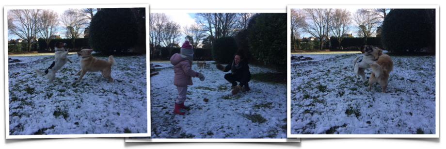 snow1